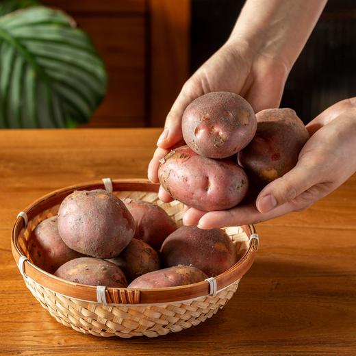 云南高原红皮土豆|比普通土豆更香更粉绵！嘴唇一抿就化了 商品图8