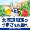 札幌北海道限定现货三宝乐CLASSIC100%全麦芽生啤日本原装进口 商品缩略图4