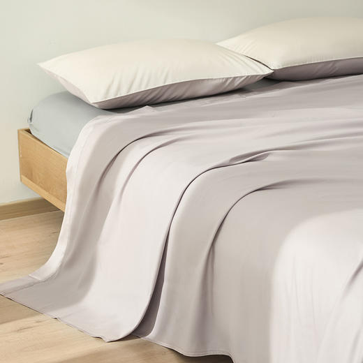 恐龙 简域 全棉60S四件套 新品上市 商品图4