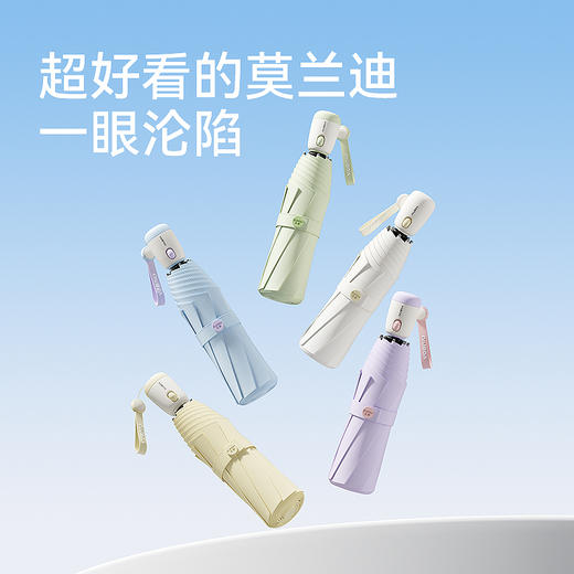 ZUODU左都 撞色节节收 彩胶版 商品图2