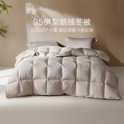 罗莱 XS-智?享溯源A类95鹅绒冬被-星河 商品图0