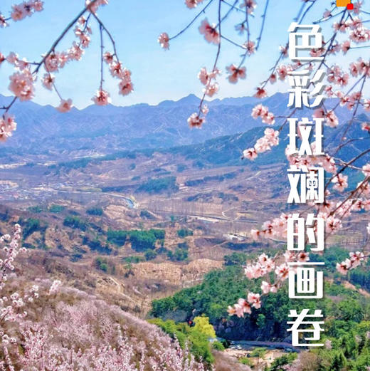 周末1天【延寿寺桃花】【适合新人】山桃花盛开の大黑山延寿寺10公里环穿<初级> 商品图1
