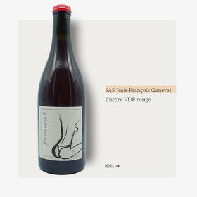 SAS Jean-François Ganevat Encore VDF rouge加内瓦酒庄再来一次干红葡萄酒