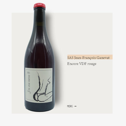 SAS Jean-François Ganevat Encore VDF rouge加内瓦酒庄再来一次干红葡萄酒 商品图0