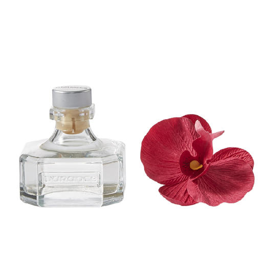 廊湾 LAVIE HOME Durance Home 芬芳挥发液 商品图0