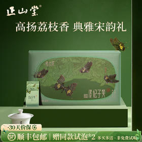 正山堂 宋风雅韵妃子笑礼盒装 正山小种红茶特级茶叶年货送礼102g