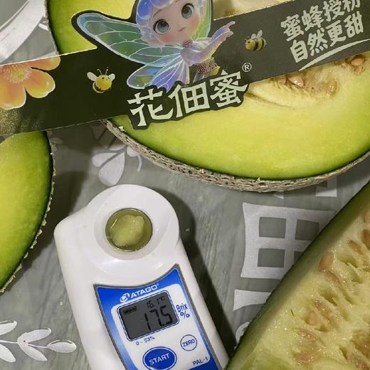 花佃蜜～牛三蜜瓜【2粒 5.5斤】一口下去，软甜绵密，瞬间引爆你的味蕾香汁满口，连靠近果皮处都是甜的牛3蜜瓜 商品图2