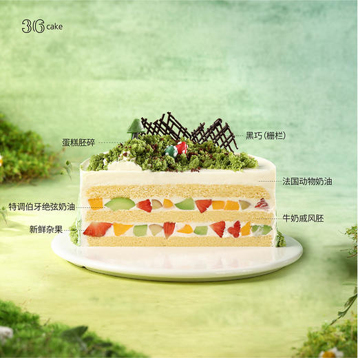 白羊座 ∙ 游春野 ∙ 伯牙绝弦鲜果奶油蛋糕，可选1.5/2.5/6磅  | 36 CAKE 商品图2