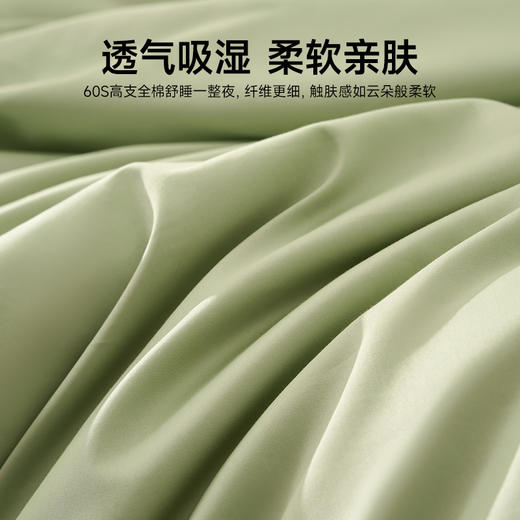恐龙 翠峦 全棉60S四件套 新品上市 商品图2