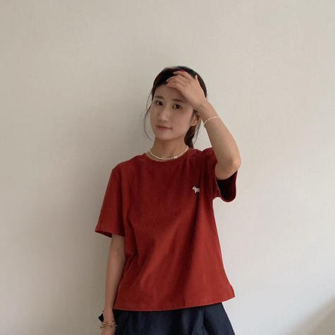 【送防尘袋+衣架】觅槿MDINN 正肩小马刺绣T恤 休闲宽松 舒适百搭 4色可选 商品图2