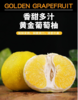正宗黄金葡萄柚 新鲜水果大果 当季甜西柚 商品缩略图0