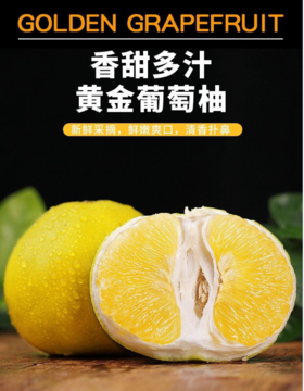 正宗黄金葡萄柚 新鲜水果大果 当季甜西柚