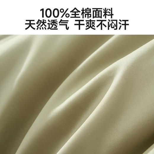 恐龙 苍梧 全棉60S四件套 新品上市 商品图2