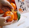【掌柜好物】眉山明日见柑橘 商品缩略图1