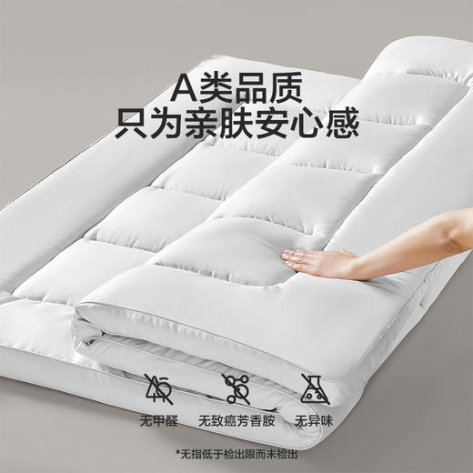 LOVO乐蜗 抗菌防螨立体加厚床垫-max 商品图0