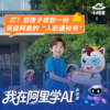 我在阿里学AI 商品缩略图0