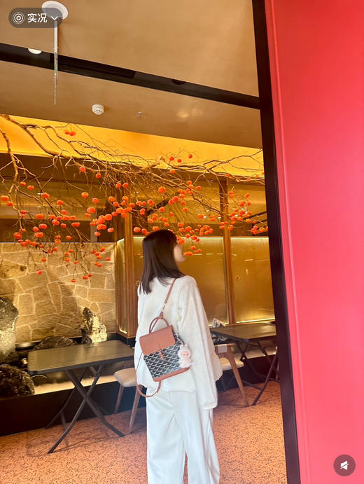 戈雅迷你双肩包 商品图6