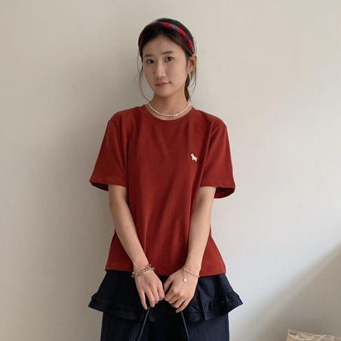 【送防尘袋+衣架】觅槿MDINN 正肩小马刺绣T恤 休闲宽松 舒适百搭 4色可选 商品图0