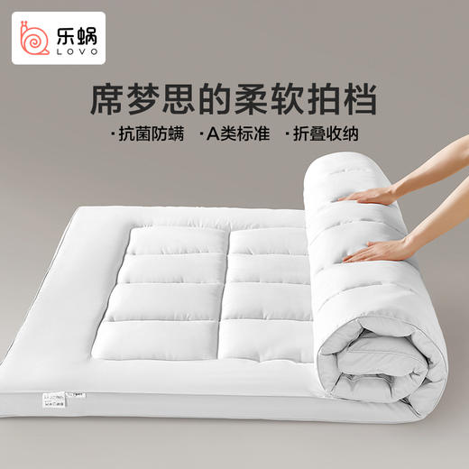 LOVO乐蜗 抗菌防螨立体加厚床垫-max 商品图2