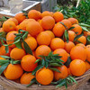 中华红橙，一不小心就会掐出一手的汁水【G】 商品缩略图5