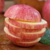 洛川苹果【39元5斤】丨肉质脆嫩，咬一口脆甜多汁~ 商品缩略图2