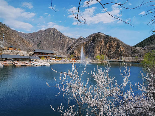 【黄花城水长城1日】赏漫山遍野桃花-长城绕湖畔-观巨龙探水湾-赏沧桑古栗园-览峭壁山水潭 商品图1