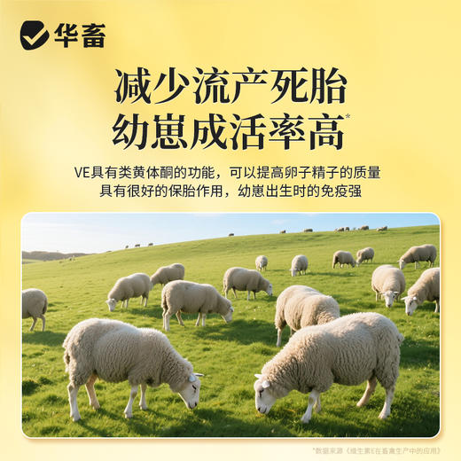 华畜繁育宝500g 促进排卵受精率高幼崽壮 商品图4