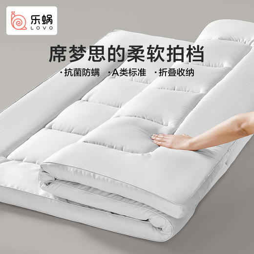 LOVO乐蜗 抗菌防螨立体加厚床垫-max 商品图5
