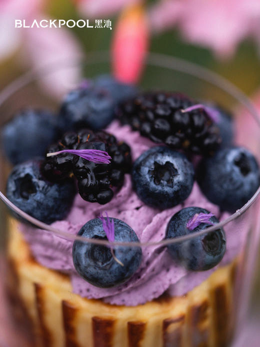 春果集·鲜果四味巴斯克 | 黑池 商品图3