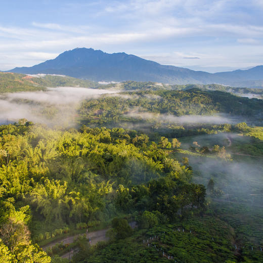 新村开业早鸟！【马来西亚沙巴ClubMed度假村】私享17公顷雨林秘境与4公里私密海岸，邂逅《国家地理》十大最美落日，在沙巴奢享自然与高端度假的双重礼遇~ 商品图11