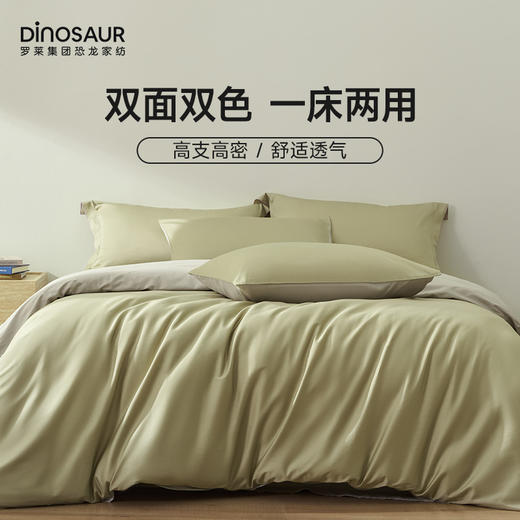 恐龙 苍梧 全棉60S四件套 新品上市 商品图0
