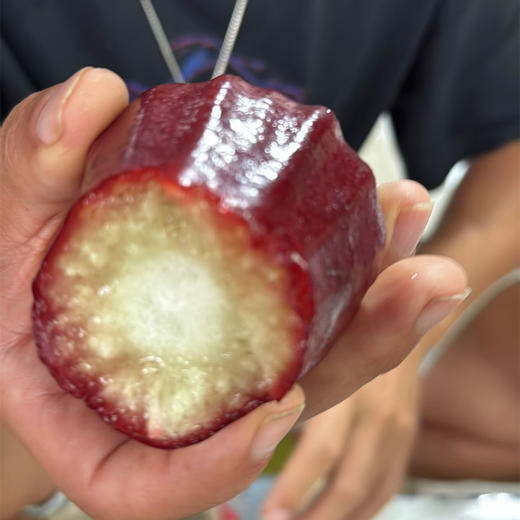 高山莲雾（黑金刚）/香水芭比莲雾丨高山生态种植，高熟度采摘，清甜多汁，风味浓郁⭐️顺丰空运 商品图6