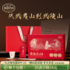 正山堂 源起正山礼盒装 特级红茶叶正宗金骏眉工艺单芽年货送礼长辈90g/180g