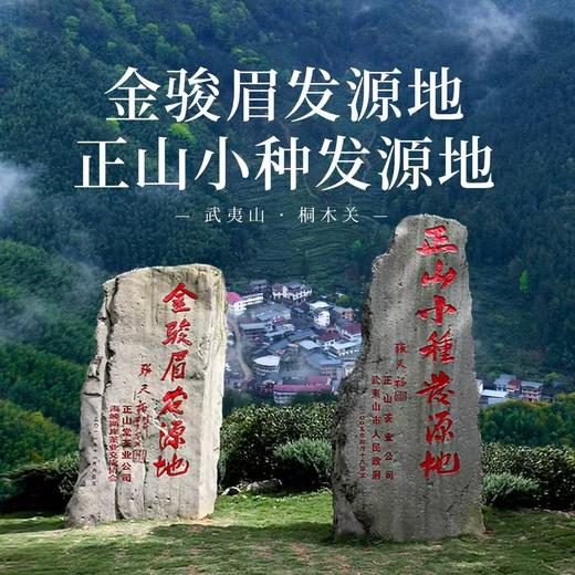 正山堂特级正山小种红茶限定版礼盒装传统官方正品 商品图2