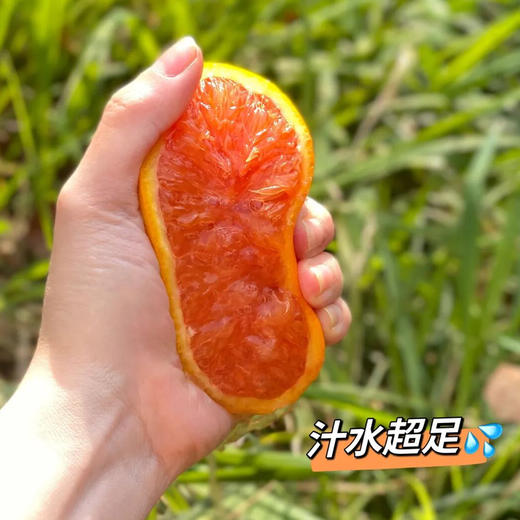 中华红橙，一不小心就会掐出一手的汁水【G】 商品图3