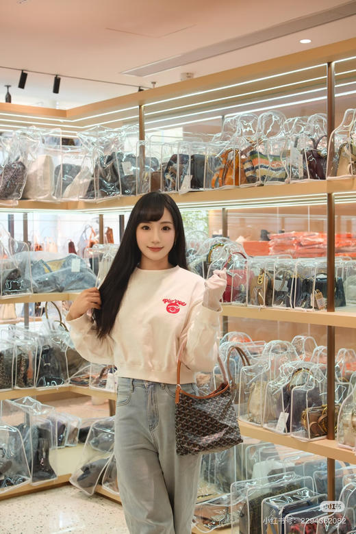 戈雅hobo迷你 商品图6