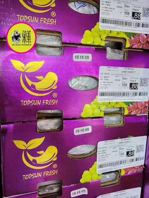 新品澳洲【棒棒糖红提】带花香的红提 商品图2