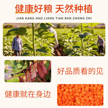 吾爱吾谷 冰湖野米250g 一号米松针米苏比利尔黑菰米进口长黑米粗粮  /粮油调味 /杂粮 /其他杂粮 商品图3