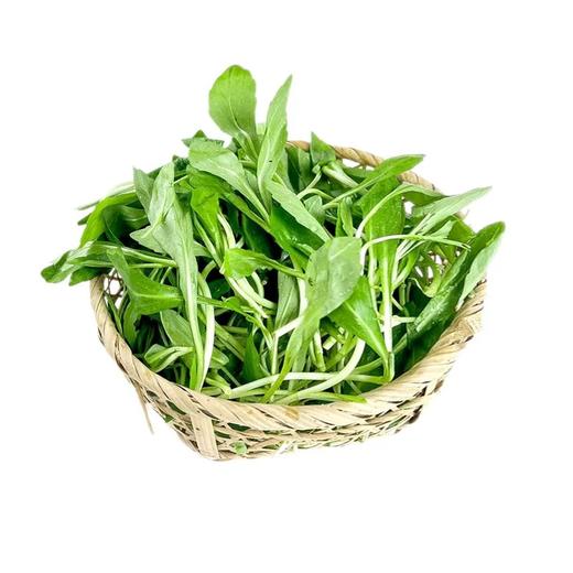 【BF春菜尝鲜】新鲜马兰头农家蔬菜 当季时令蔬菜500g 商品图0