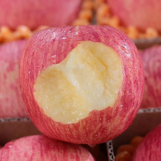 洛川苹果【39元5斤】丨肉质脆嫩，咬一口脆甜多汁~ 商品图3