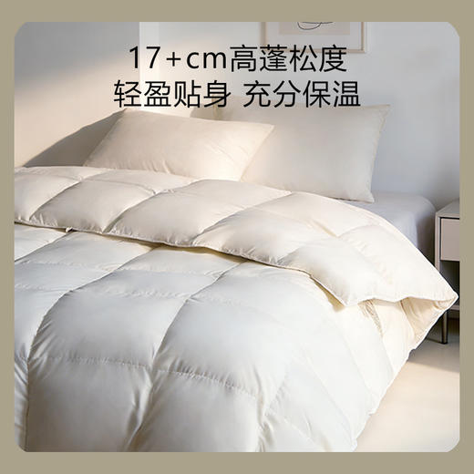 罗孚 95白鹅绒 云感深睡 春/秋被 商品图1