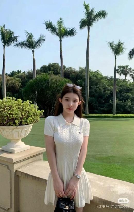 F031687优雅气质大方质感POLO领刺绣搭片针织短袖麻花连衣裙 商品图9