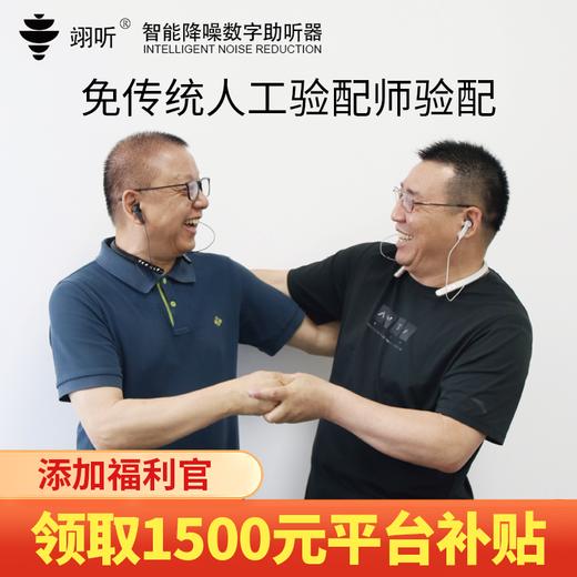 优选丨智能降噪数字助听器 C302-2B 添加福利官领取1500元平台补贴券 商品图1