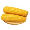 【软糯鲜甜❗低脂顶饱】东北黄糯玉米真空包装甜糯玉米棒免煮玉米即食粘玉米大棒特惠玉米。xa 商品缩略图3