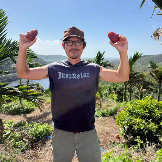 高山莲雾（黑金刚）/香水芭比莲雾丨高山生态种植，高熟度采摘，清甜多汁，风味浓郁⭐️顺丰空运 商品图1