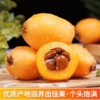 【现货速发】枇杷 净重1斤/3斤 坏果包赔 商品缩略图2