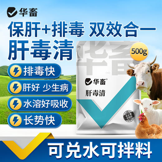 1袋肝毒清500g 商品图0