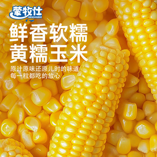 【醒粉福利29.9元买1箱送1箱】内蒙兴安盟玉米·鲜糯玉米香香糯糯 商品图2