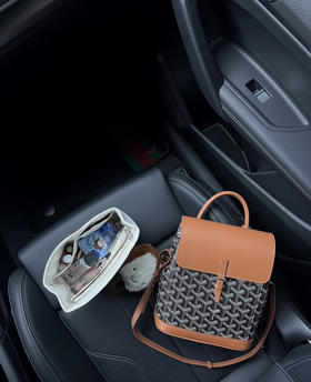 戈雅迷你双肩包