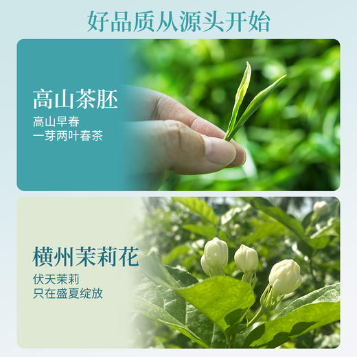 【谢大高】茉莉雪竹 七窨一提 标准单芽 芽头肥嫩 毫香与花香交织 商品图4
